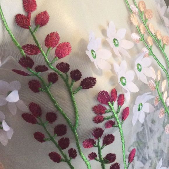 Zara blush sheer tulle mesh floral embroidered top - Picture 2 of 14